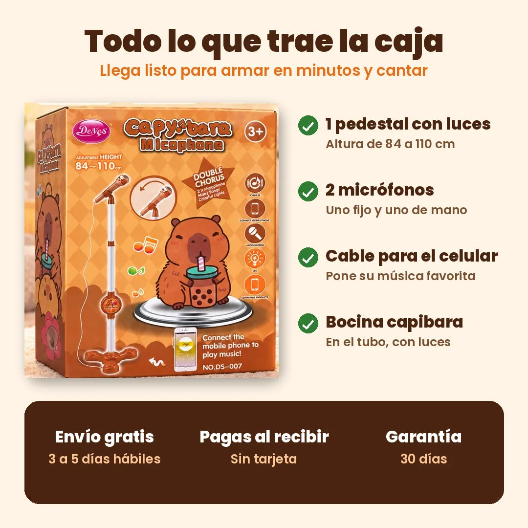 Qué incluye la caja del micrófono karaoke capibara