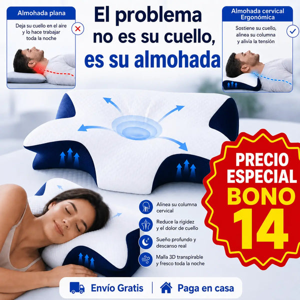 Almohada Ergonómica Ortopédica — Vora