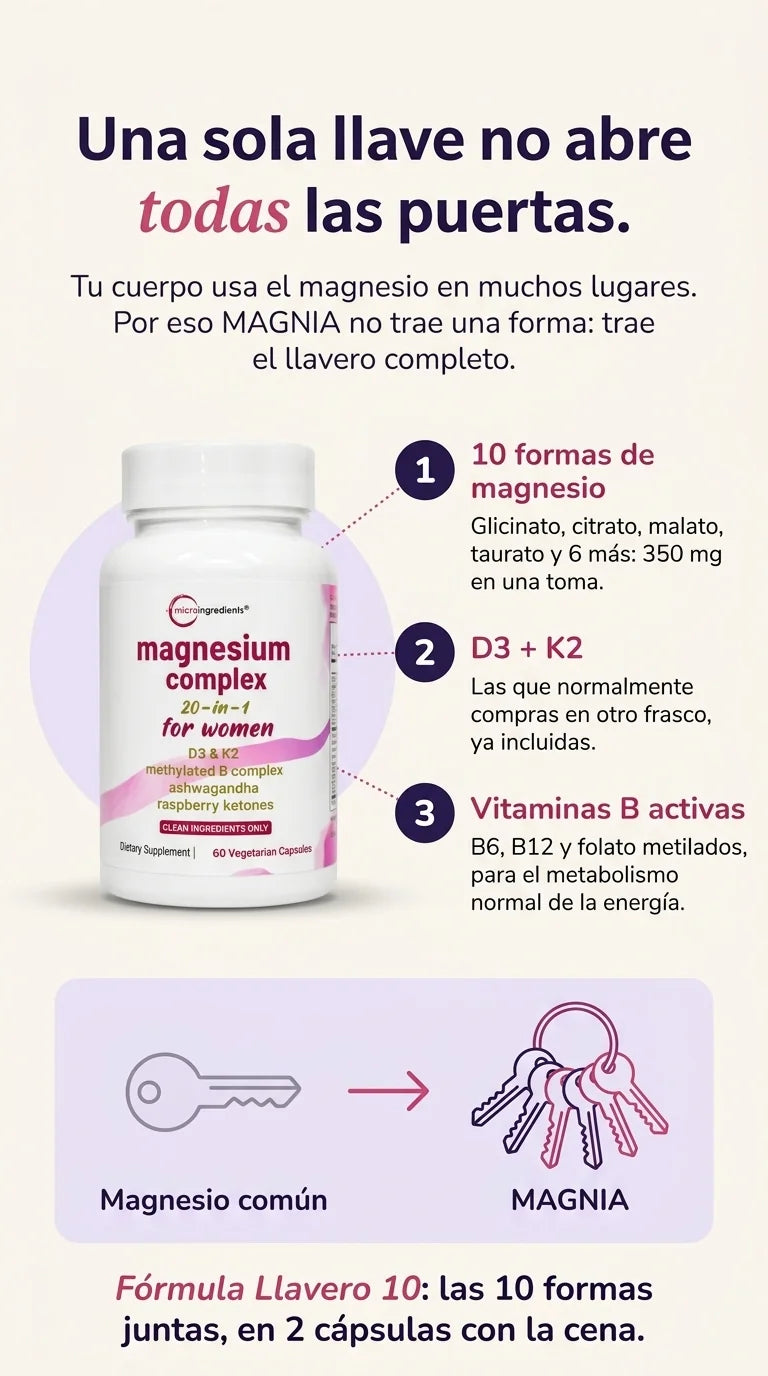 magnia-v1-body-2.webp