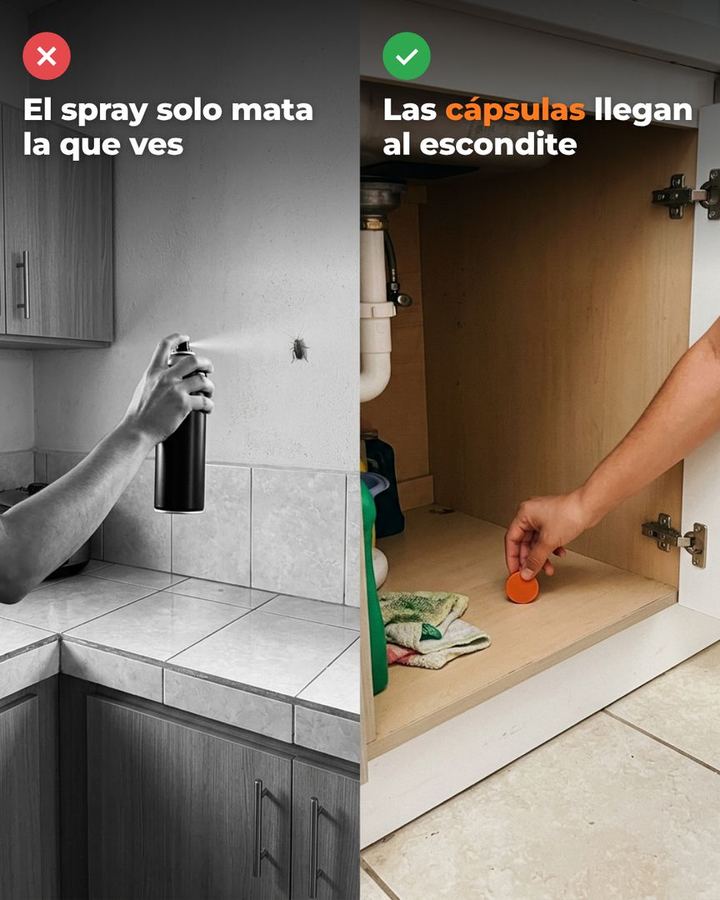 A la izquierda el spray solo mata la que ves; a la derecha las cápsulas llegan al escondite