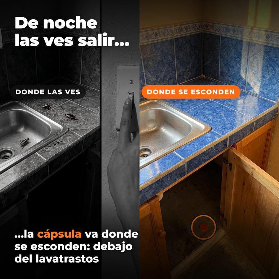 Donde las ves y donde se esconden: la cápsula va debajo del lavatrastos